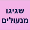 שגיגו מנעולים image