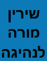 שירין מורה לנהיגה