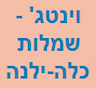 סלון כלות ילנה טקצנקו