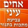 אחים עייני -צביעת מתכות image