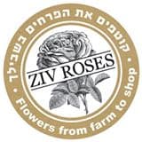 ZIV ROSES -משלוחי פרחים ישר מהחקלאי.