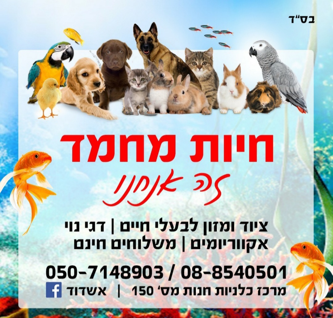 חיות מחמד זה אנחנו - ציוד ומזון לבעלי חיים