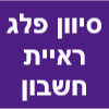 סיון פלג ראיית חשבון