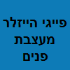 פייגי היידלר אדריכלות ועיצוב פנים