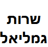 שירות מורן גמליאל image