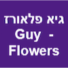 גיא פלאורס- Guy Flowers