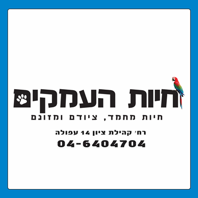 חיות העמקים: וטרינרים,מספרה לב