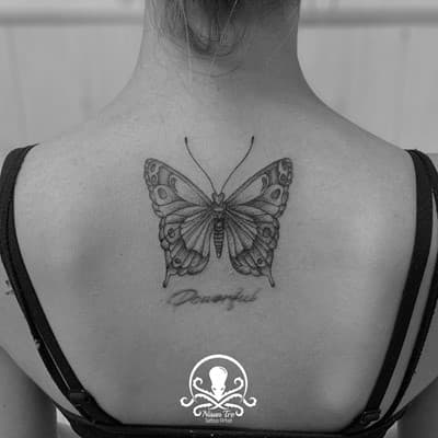 Butterfly