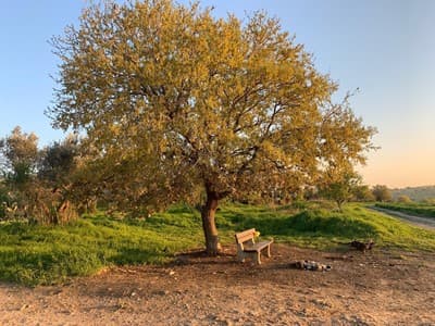 טיולים ואתגרים