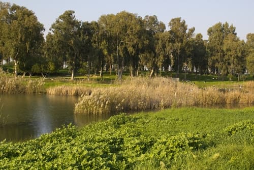 מקומות בילוי בחיק הטבע