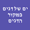 ים של דגים במקור הדגים