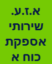 א.ז.י. שירותים בע"מ