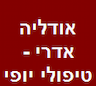 אודליה אדרי - טיפולי יופי ואסתטיקה