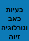 זיוה פרטנר - בעיות כאב ושטיפה אנרגטית