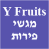 Y Fruits מגשי פירות מעוצבים