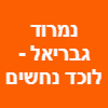 נמרוד גבריאל - לוכד נחשים