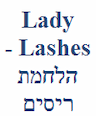Lady Lashes - הלחמת ריסים, מכון יופי ואסתטיקה