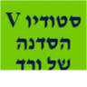 סטודיו V  הסדנה של ורד