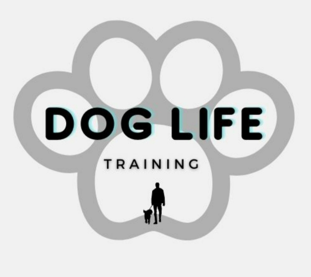 חיים אילוף כלבים Dog Life