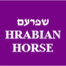 שפרעם HRABIAN HORSE