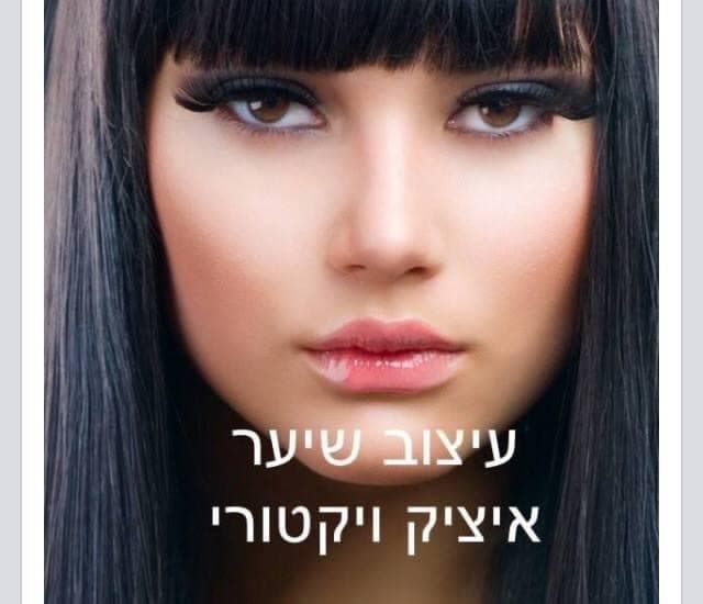 לוגו