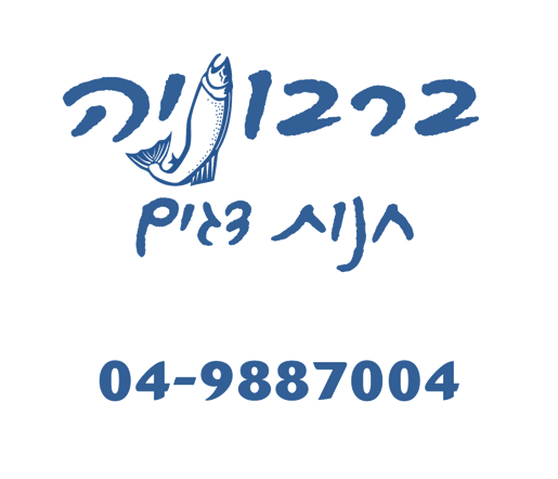 לוגו