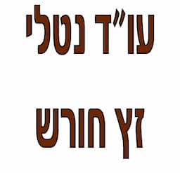 עו"ד נטלי זץ חורש עורכת דין דיני משפחה