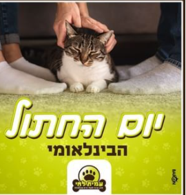 עמית לחי - מזון וציוד לבעלי חיים שאוהבים image