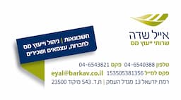 אייל שדה-יועץ מס