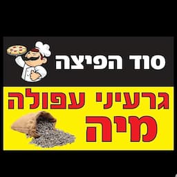 סוד הפיצה ( ניתן לעשות משלוחים!!)