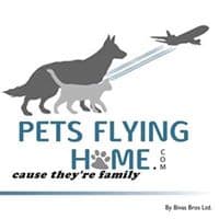 Pet Flying Home