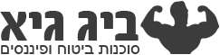 ביג גיא סוכנות לביטוח ופיננסים