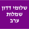 שלומי דדון שמלות ערב