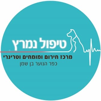 טיפול נמרץ וטרינרי 24/7 image