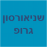 שניאורסון גרופ יזמות והשקעות