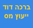 ברכה דוד ייעוץ מס