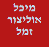 מיכל אוליצור זמל- מטפלת באומנות