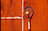 האקדמיה לטניס עידן רוזנברג uploaded image