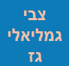 צבי גמליאל -טכנאי גז image