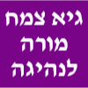 גיא צמח מורה לנהיגה