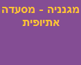 מגנניה - מסעדה אתיופית