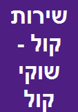 שירות קול - שוקי קול- תיקון מכונות כביסה ומיבשים image