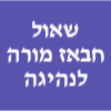 שאול חבאז מורה לנהיגה