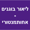 ליאור בוגנים - אחות מנטורית לירידה במשקל