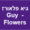 גיא פלאורס- Guy Flowers image
