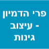 פרי הדמיון - עיצוב ותכנון גינות