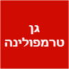 גן טרמפולינה