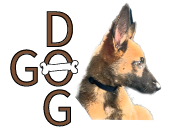 Go dog פנסיון כלבים image