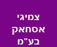 צמיגי אסחאק בע"מ