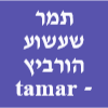 תמר שעשוע הורביץ - tamar shashoua horovitz image